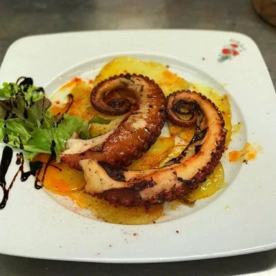 Grilled octopus dish — original photo